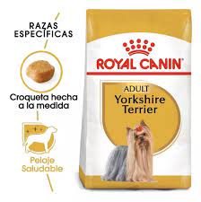 YORKSHIRE TERRIER 1 KG